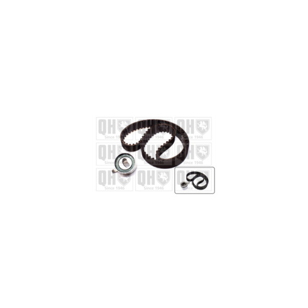 Timing Belt Kit image