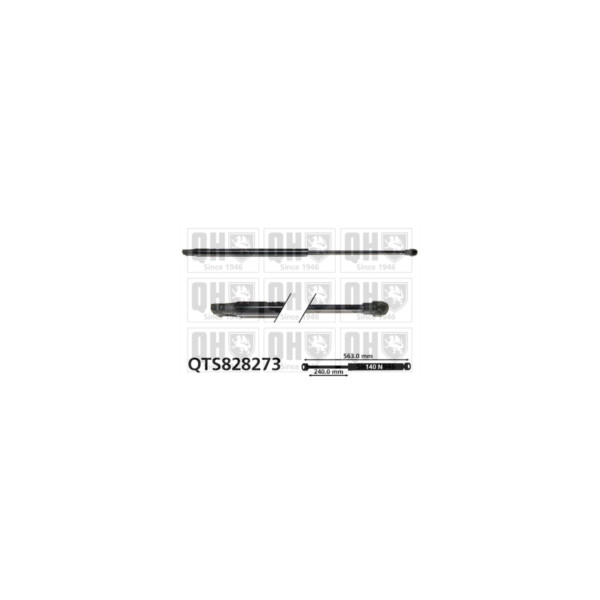 Gas Spring image