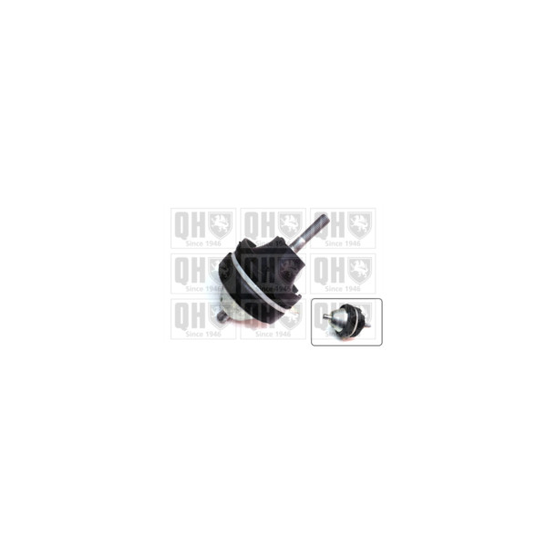 Engine/Transmission Bush/Mount image