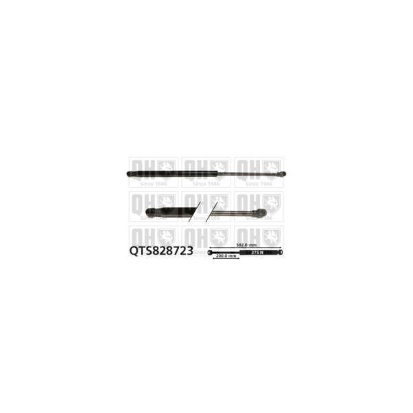Gas Spring image