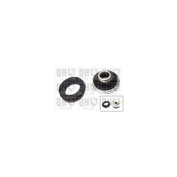 Suspension Strut Repair Kit image