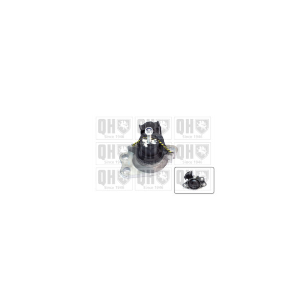 Engine/Transmission Bush/Mount image