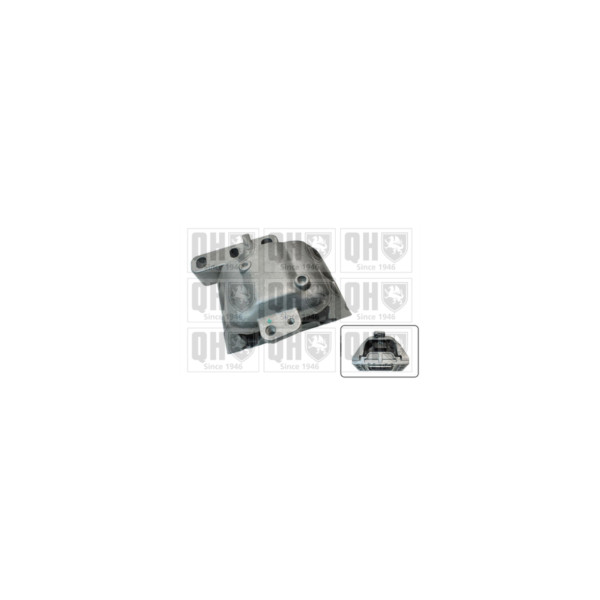 Engine/Transmission Bush/Mount image
