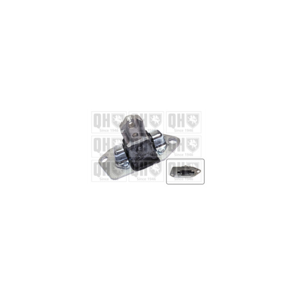 Engine/Transmission Bush/Mount image