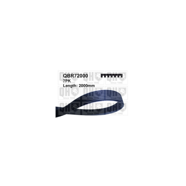 Drive Belt image