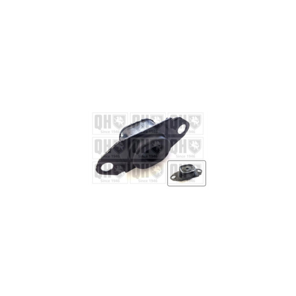 Engine/Transmission Bush/Mount image