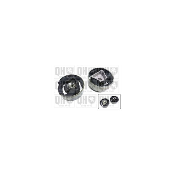 Engine/Transmission Bush/Mount image