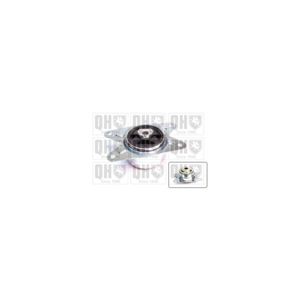 Engine/Transmission Bush/Mount image
