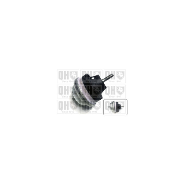 Engine/Transmission Bush/Mount image