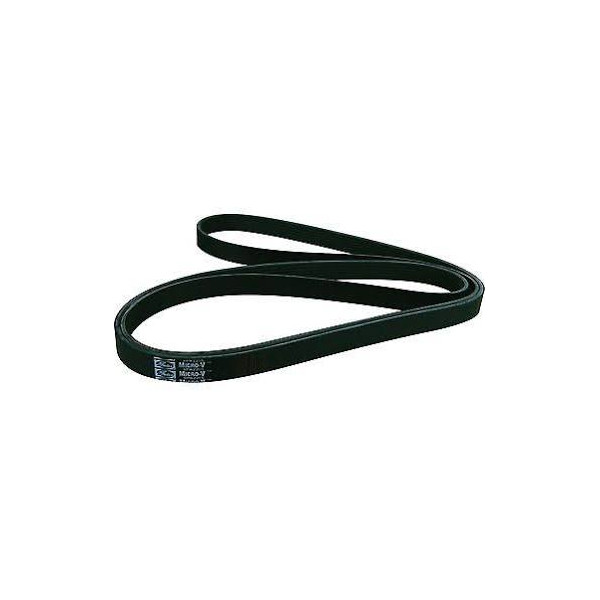 MICRO-V MULTI-RIBBED BELT image
