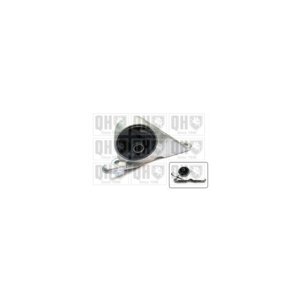 Engine/Transmission Bush/Mount image