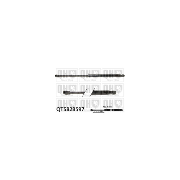 Gas Spring image