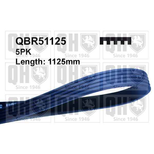 QH QBR51125 Drive Belt image