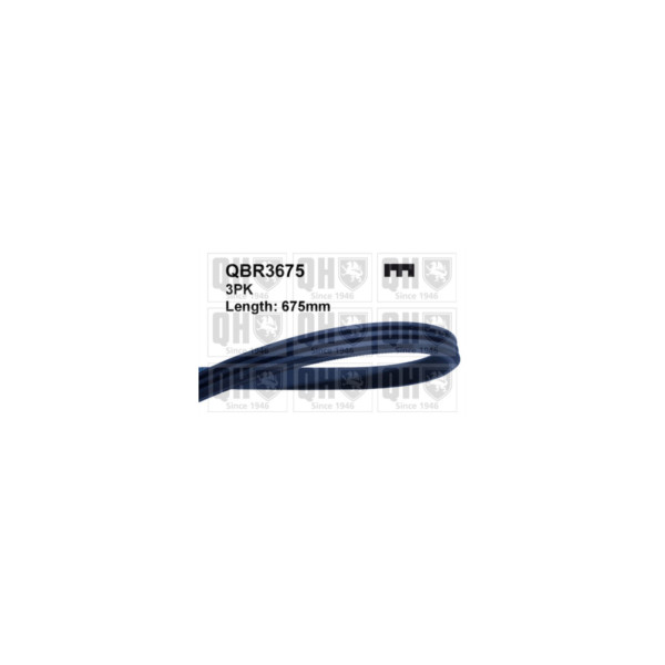 Drive Belt image