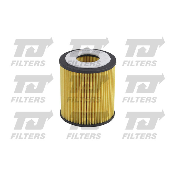 TJ QFL0160 Oil Filter image