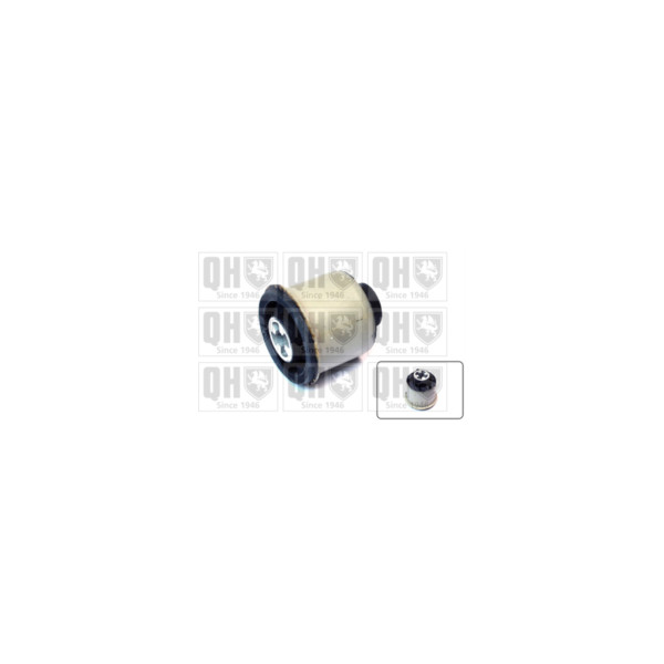 Engine/Transmission Bush/Mount image