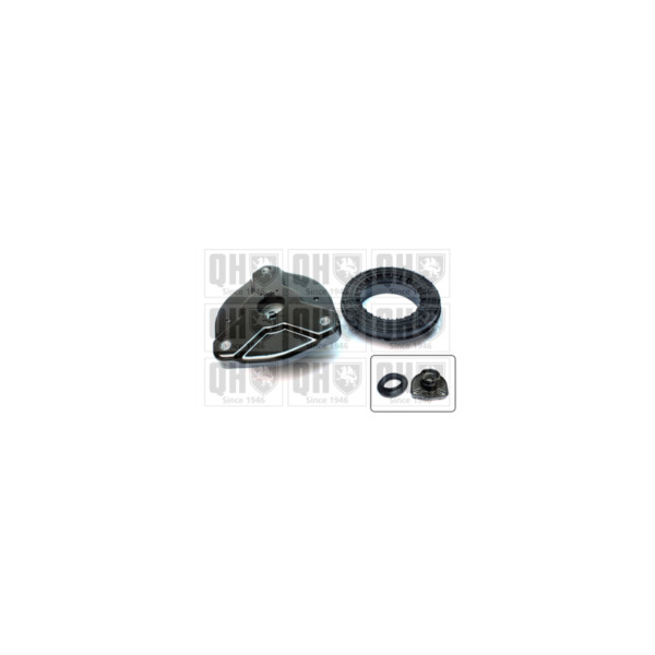 Suspension Strut Repair Kit image