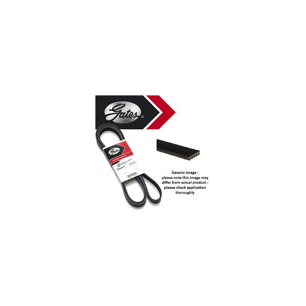 Drive Belt image