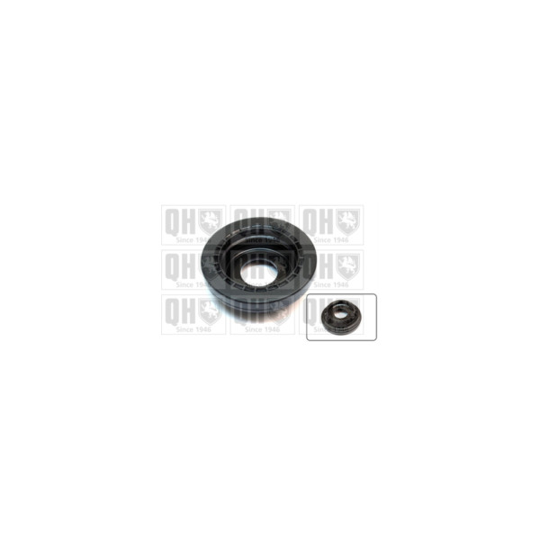 Strut Mount Bearing image