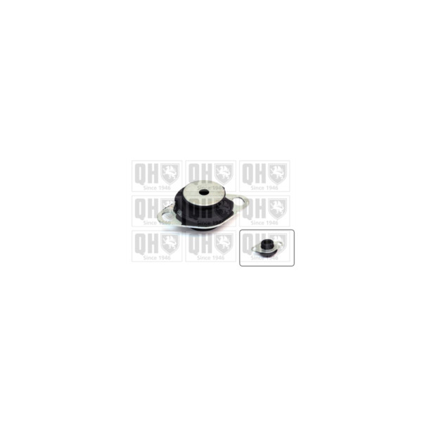 Engine/Transmission Bush/Mount image
