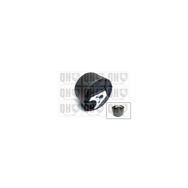 Engine/Transmission Bush/Mount image