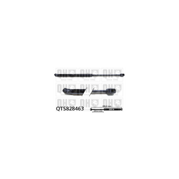 Gas Spring image