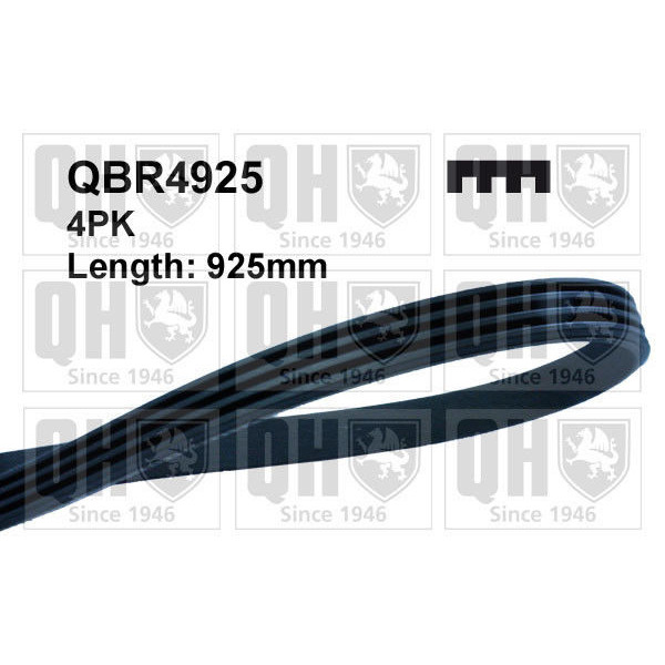 QH QBR4925 Drive Belt image