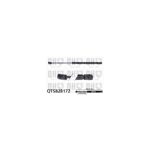 Gas Spring image