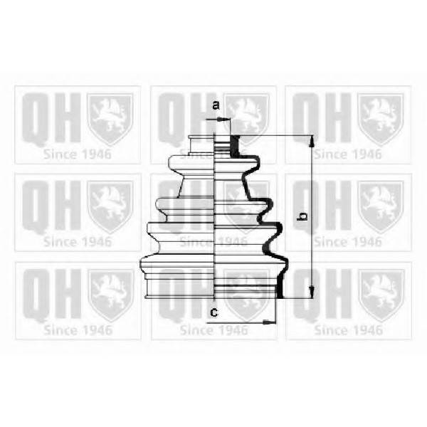 QH QJB153 CV Boot image