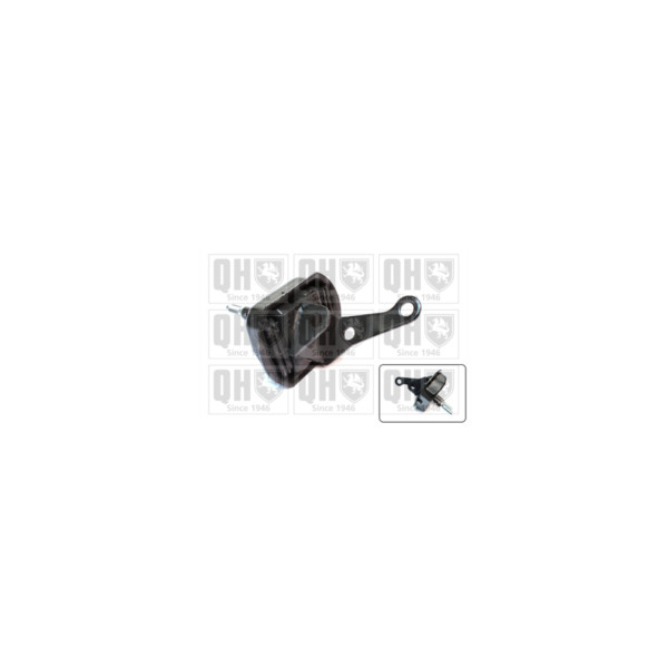 Engine/Transmission Bush/Mount image