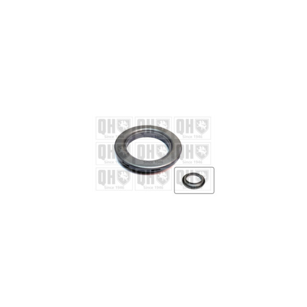 Strut Mount Bearing image