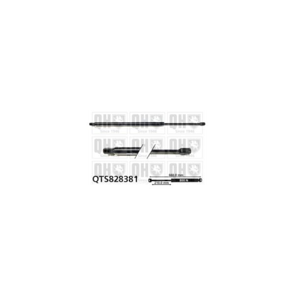Gas Spring image