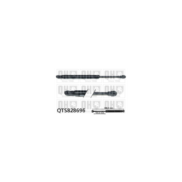 Gas Spring image