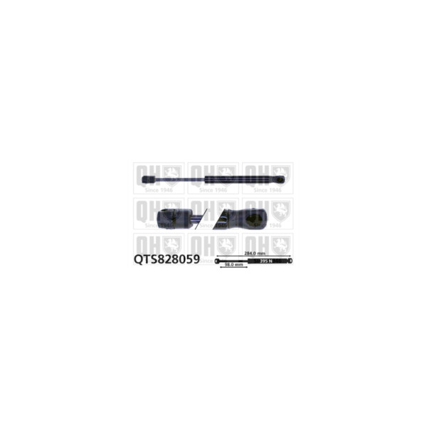 Gas Spring image