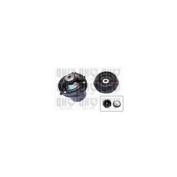 Suspension Strut Repair Kit image