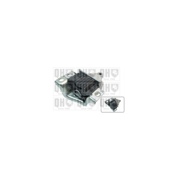 Engine/Transmission Bush/Mount image