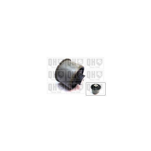Engine/Transmission Bush/Mount image