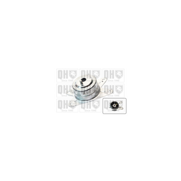 Engine/Transmission Bush/Mount image