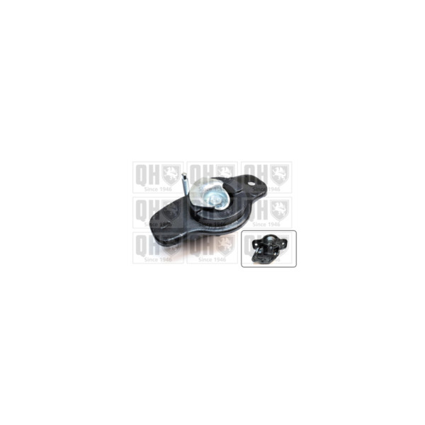 Engine/Transmission Bush/Mount image
