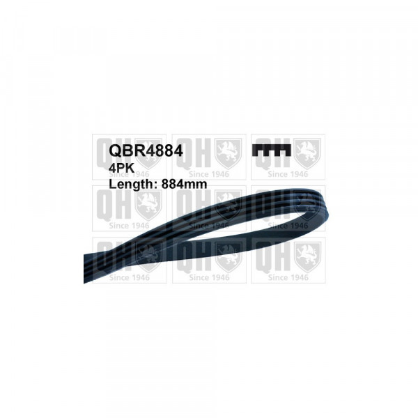 Drive Belt image