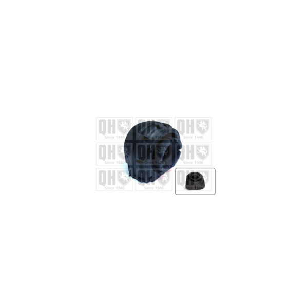 Anti Roll Bar/Stabiliser Bush/Kit image
