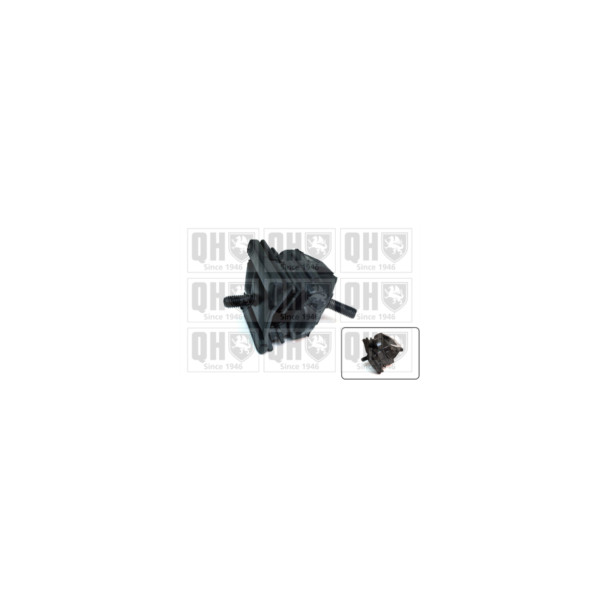 Engine/Transmission Bush/Mount image