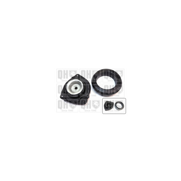 Suspension Strut Repair Kit image