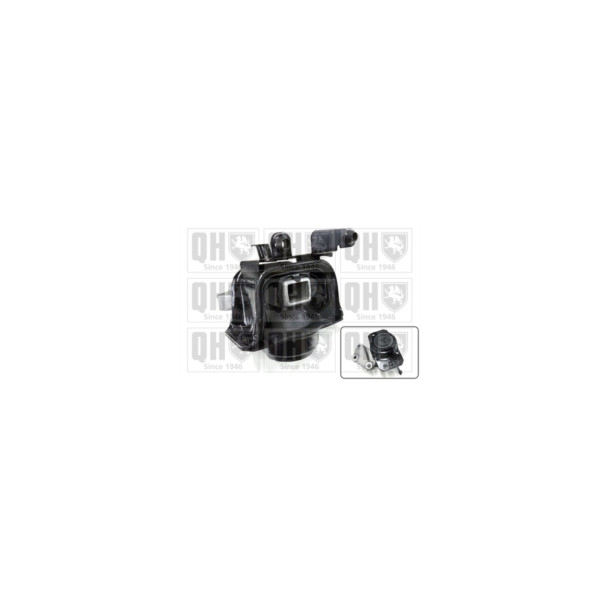 Engine/Transmission Bush/Mount image