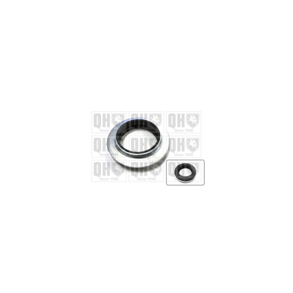 Strut Mount Bearing image