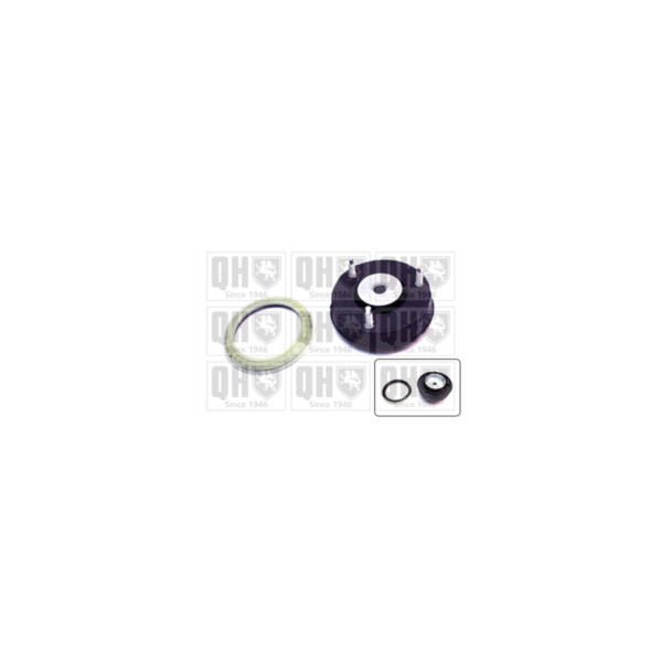 Suspension Strut Repair Kit image