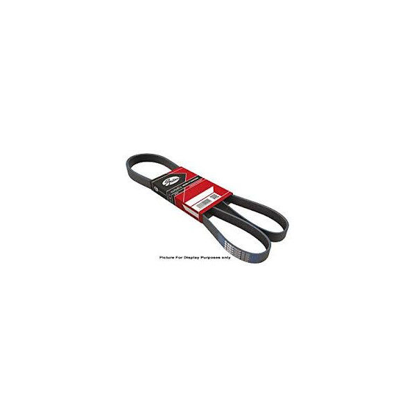 MICRO-V MULTI-RIBBED BELT image