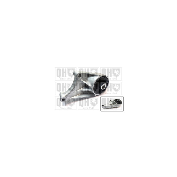 Engine/Transmission Bush/Mount image