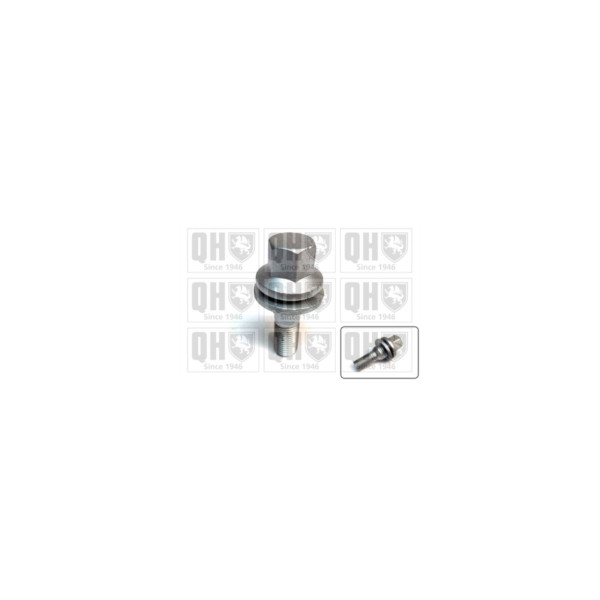 Wheel Bolt/Nut image