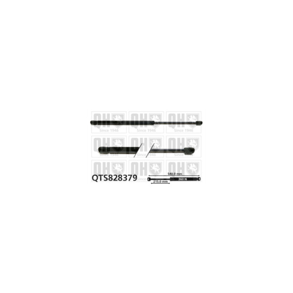 Gas Spring image